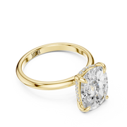 Classic Solitaire with Hidden Halo