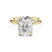 Classic Solitaire with Hidden Halo