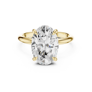 Classic Solitaire with Hidden Halo