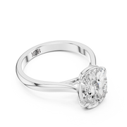 Cathedral Solitaire Engagement Ring
