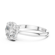 Cathedral Solitaire Engagement Ring