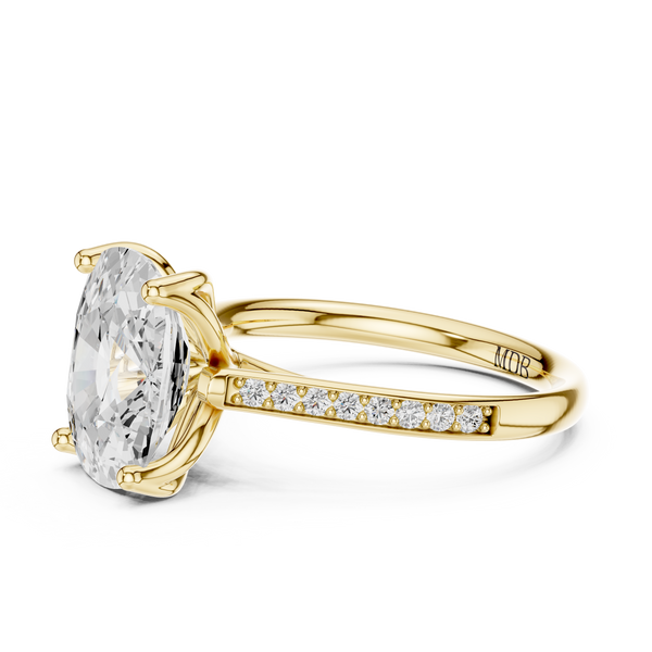 Cathedral Diamond Accented Engagement Ring