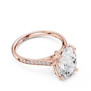 Cathedral Diamond Accented Engagement Ring