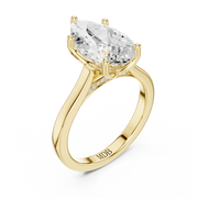 Cathedral Tulip Engagement Ring with Diamond Bridge